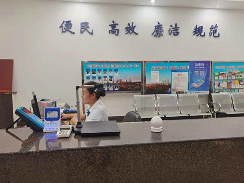 嘉兴科技城大桥镇便民服务中心启用“一窗受理、全域通办”公用事业服务窗口