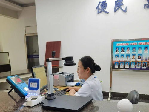 嘉兴科技城大桥镇便民服务中心公用事业服务窗口正式启用，提供全域通办与信息技术咨询服务