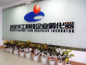 光谷孵化器众创空间大阅兵 上篇——信息技术咨询服务的新篇章